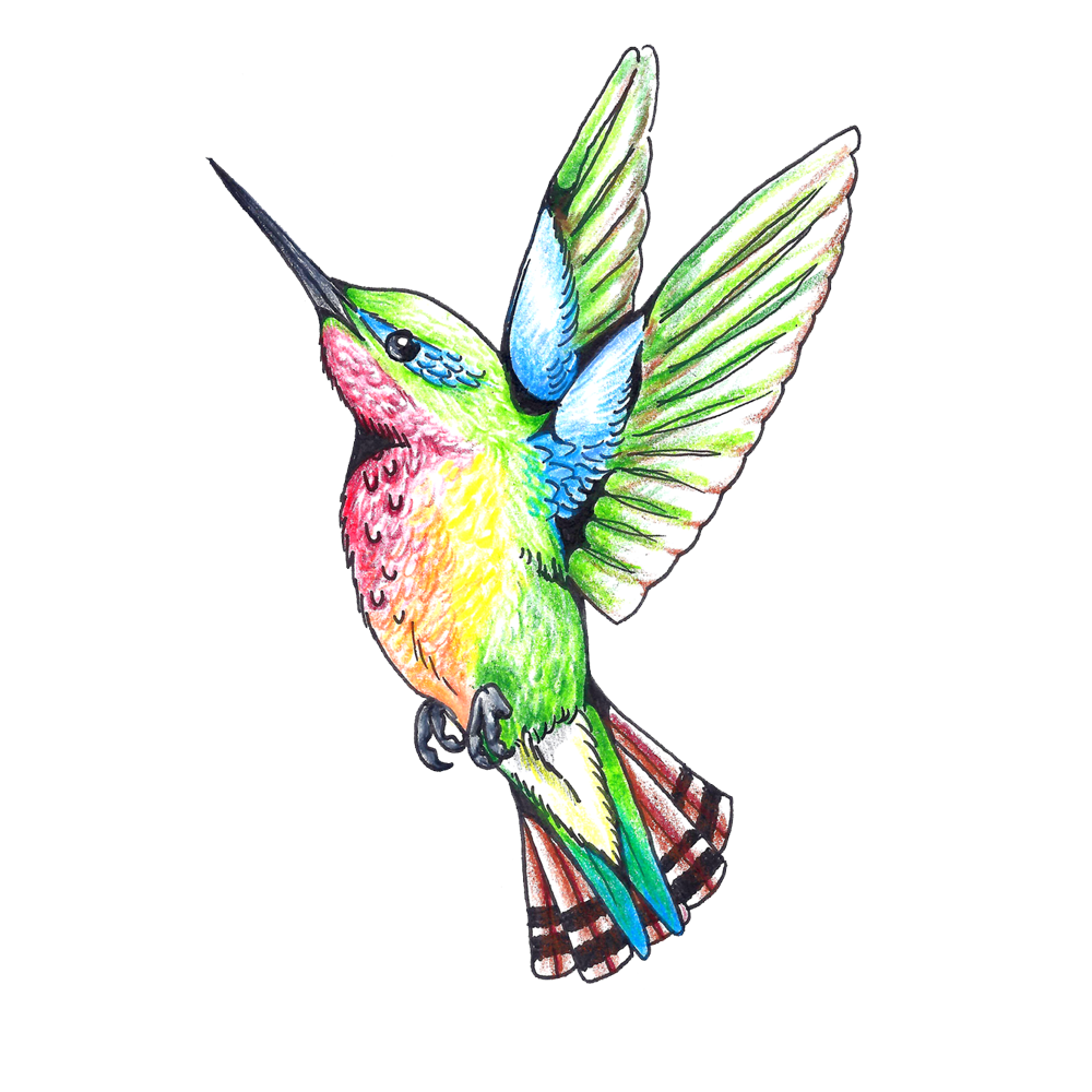 Hummingbird Tattoo Transparent Picture