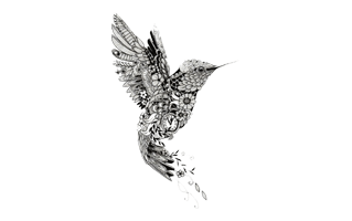 Hummingbird Tattoo PNG