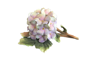 Hydrangea PNG