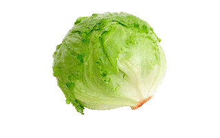 Iceberg Lettuce PNG