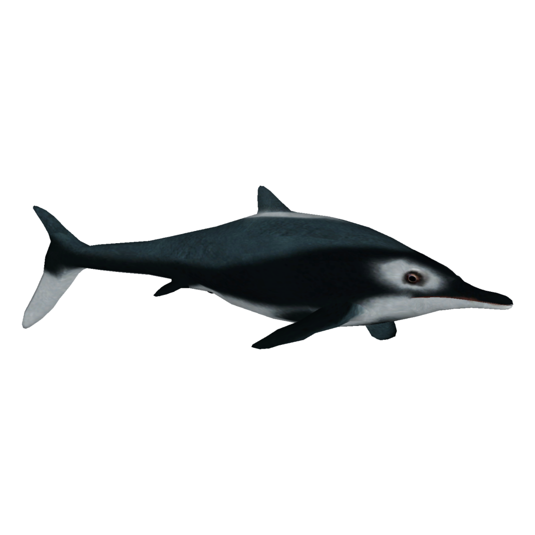 Ichthyosaurus Transparent Picture