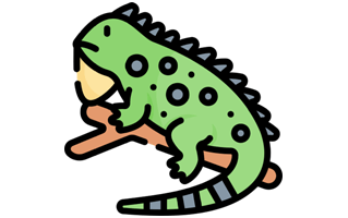 Iguana Sticker PNG