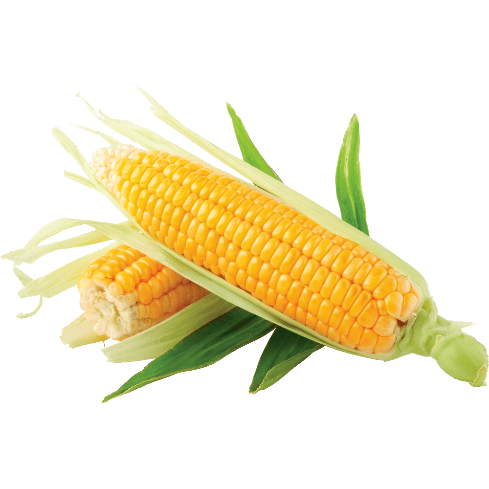 Indian Corn  Transparent Image