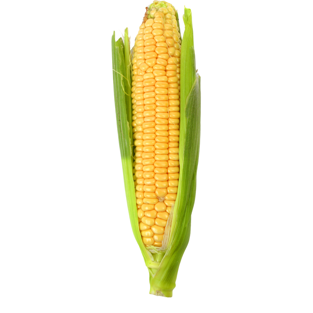 Indian Corn Transparent Picture