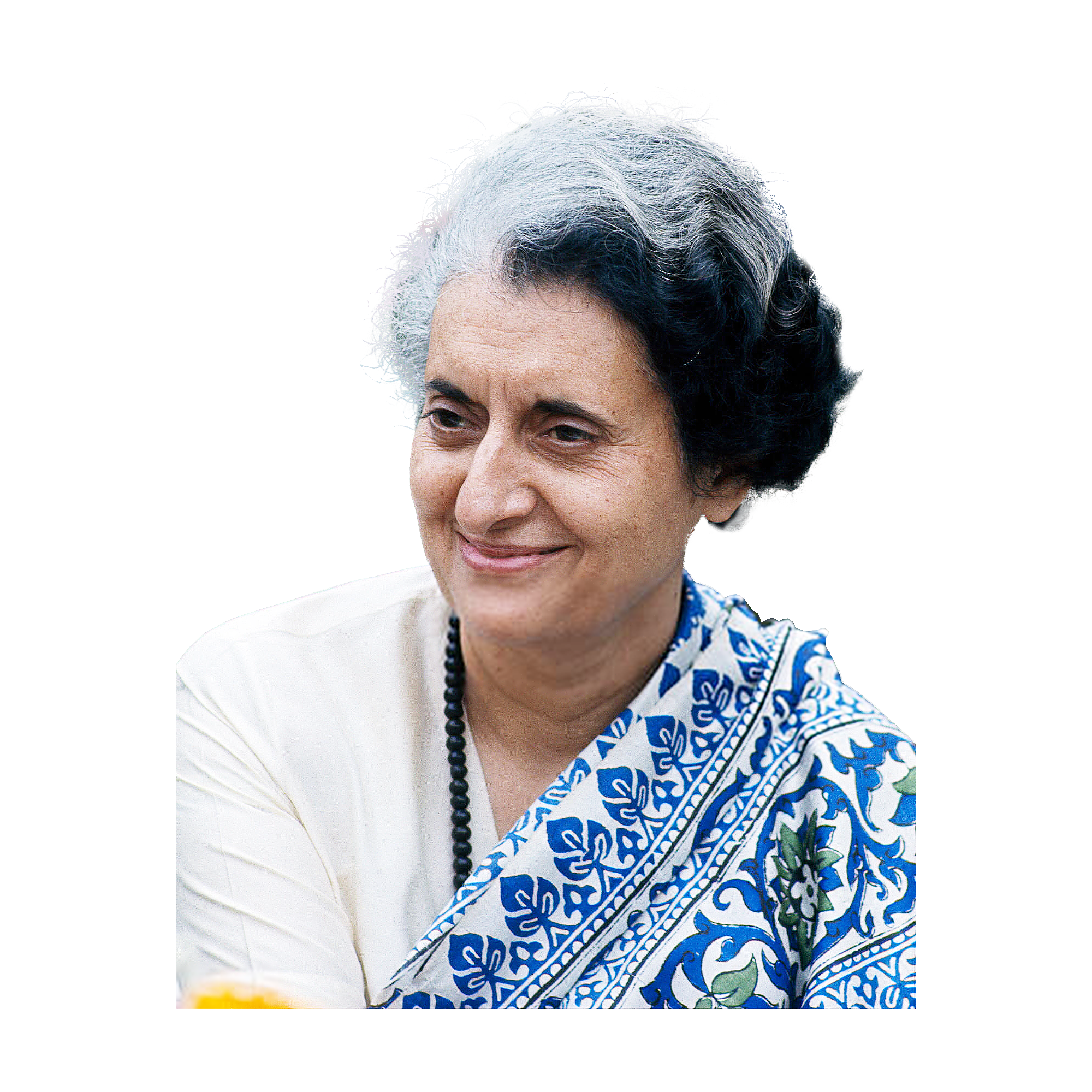 Indira Gandhi Transparent Gallery