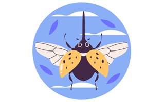 Insect Sticker PNG