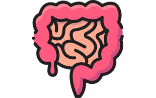 Intestine Sticker PNG