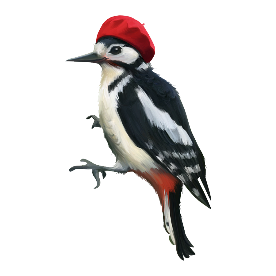 Ivory Billed Woodpecker Transparent Gallery