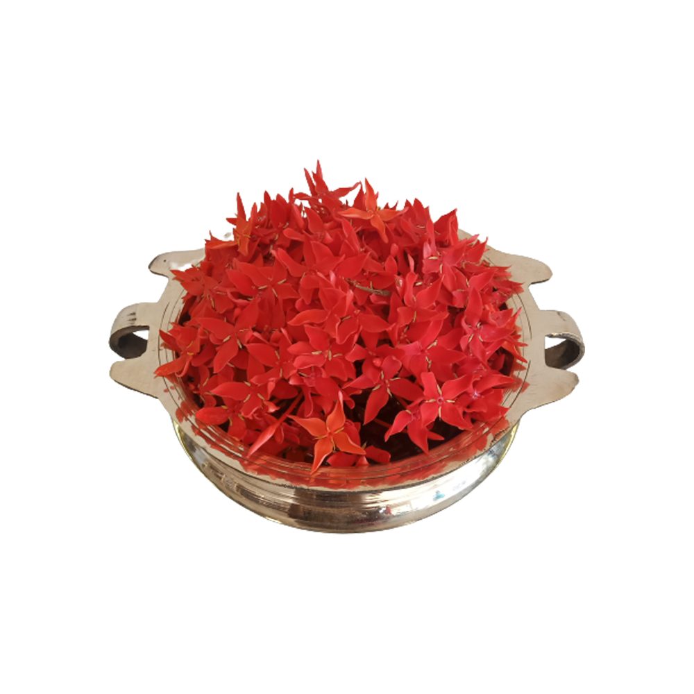 Ixora Red Flower Transparent Picture