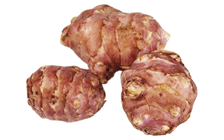 Jerusalem Artichoke PNG