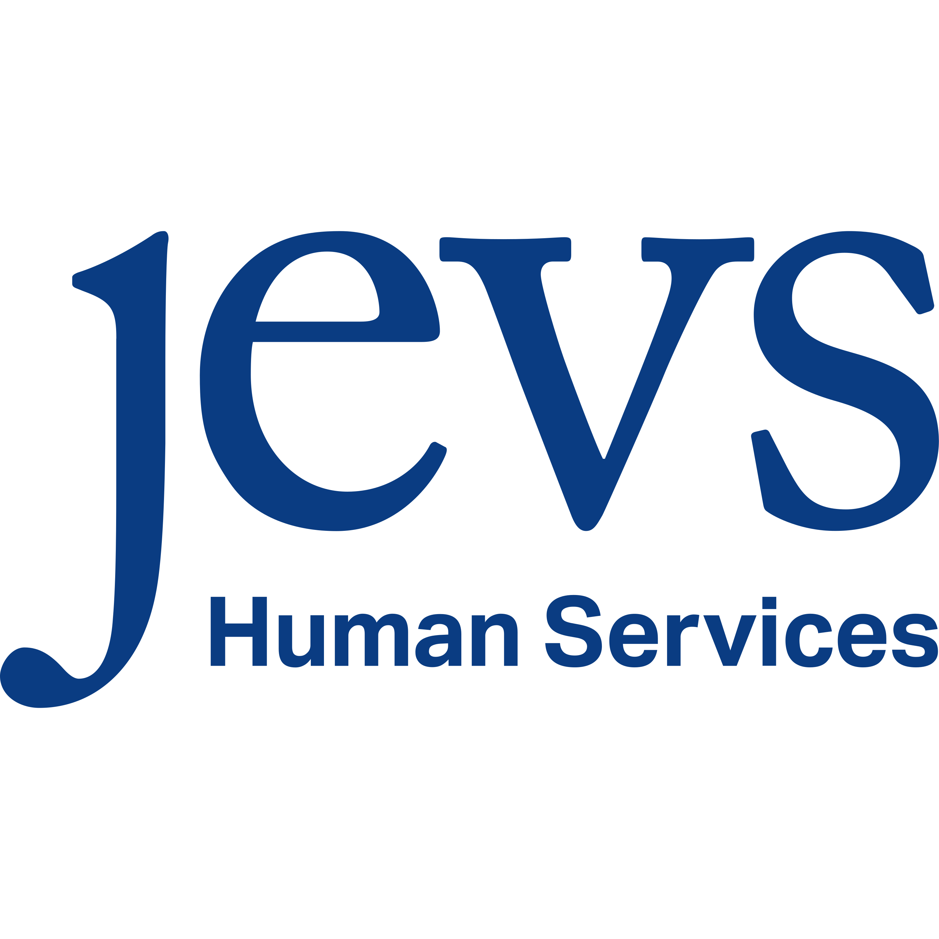 Jevs Human Services Logo  Transparent Image