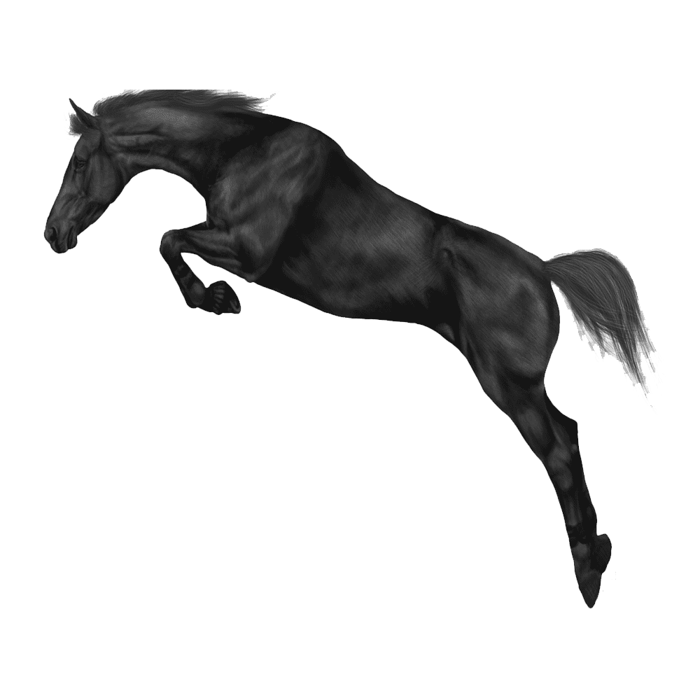 Jumping Horse  Transparent Photo