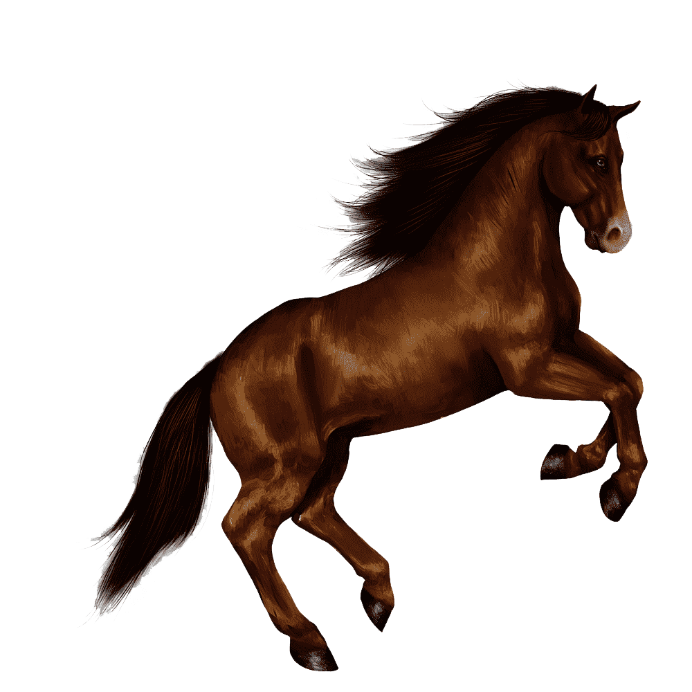 Jumping Horse Transparent Picture
