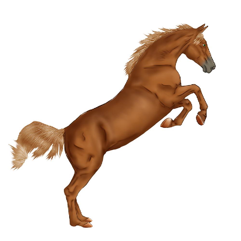 Jumping Horse  Transparent Gallery