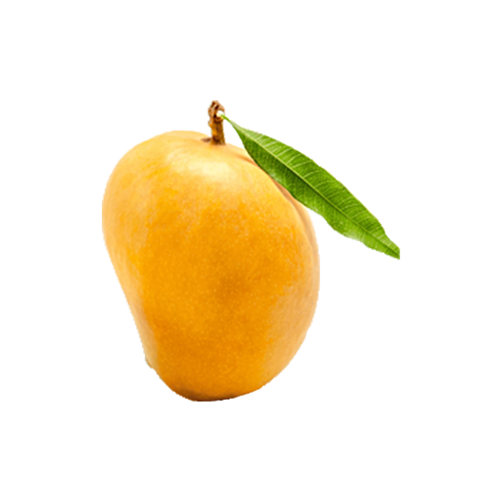 Kesar Mango  Transparent Image