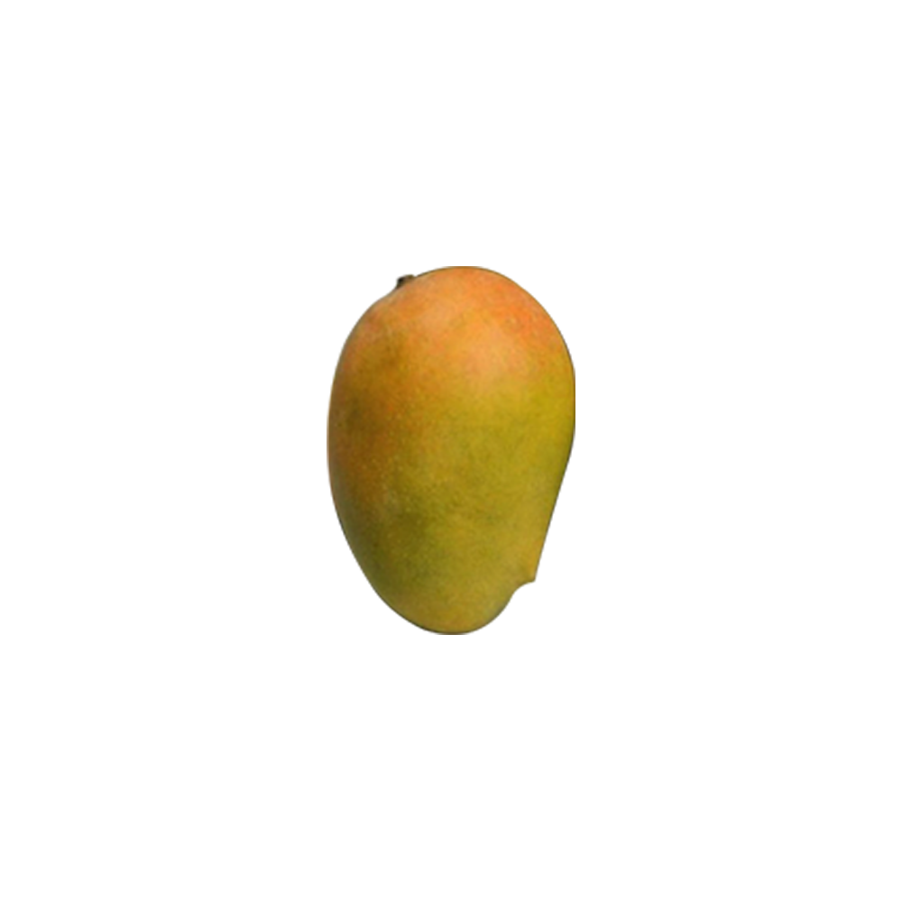 Kesar Mango  Transparent Photo