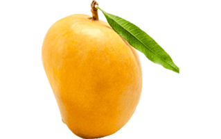 Kesar Mango PNG