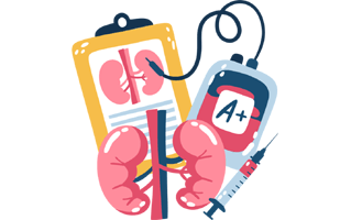 Kidneys Sticker PNG