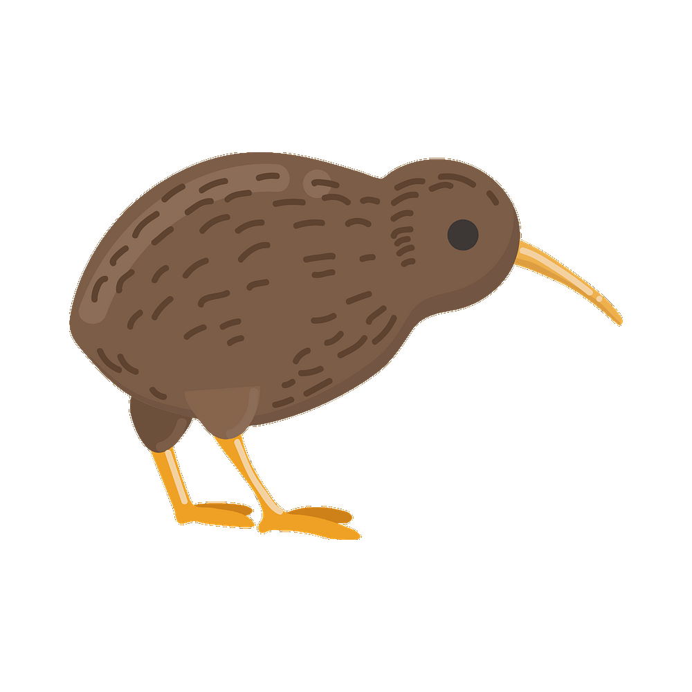 Kiwi Bird  Transparent Image