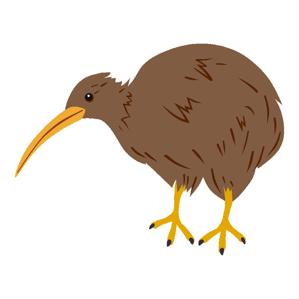 Kiwi Bird  Transparent Photo