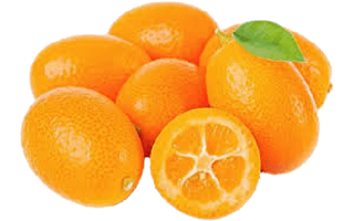 Kumquat PNG