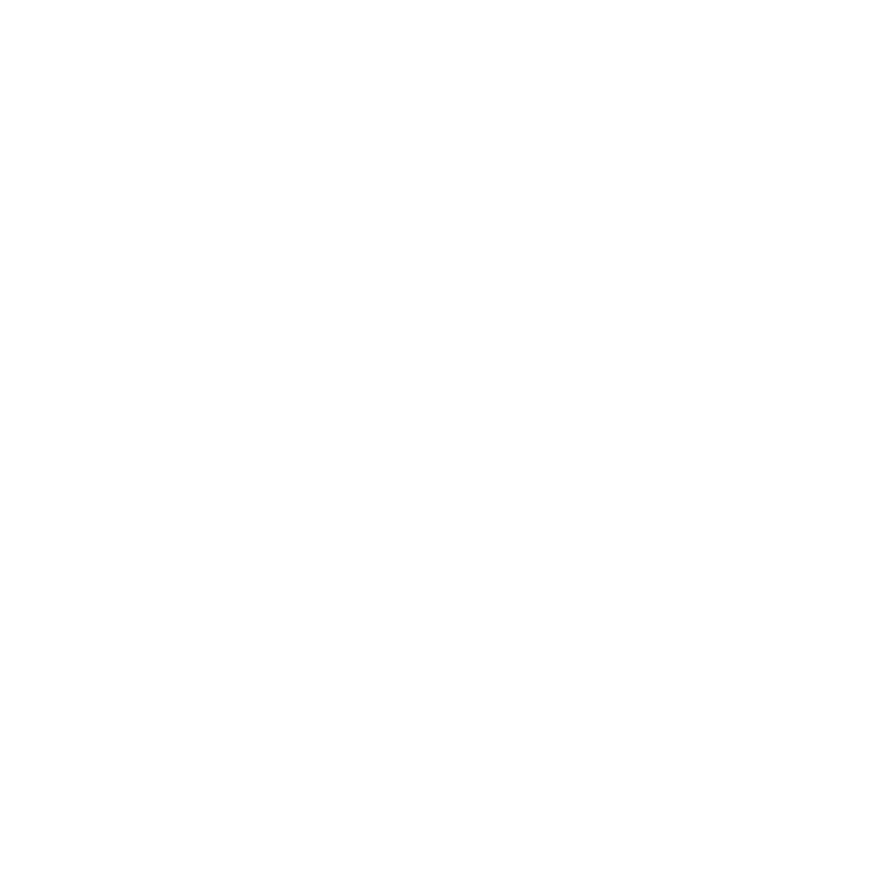 L1 Max Logo  Transparent Photo