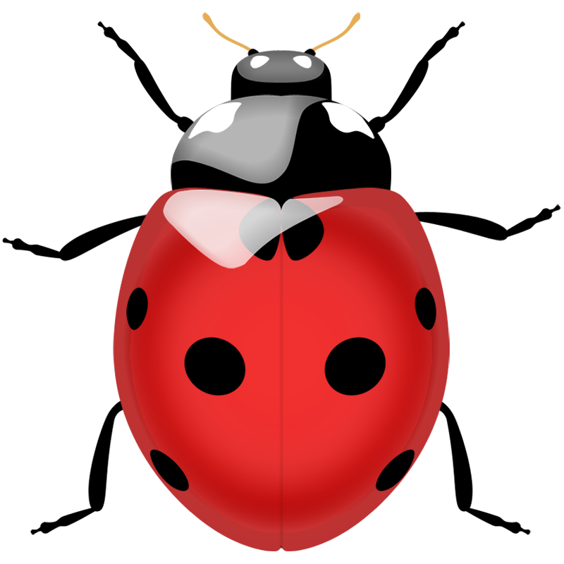 Ladybug Transparent Picture