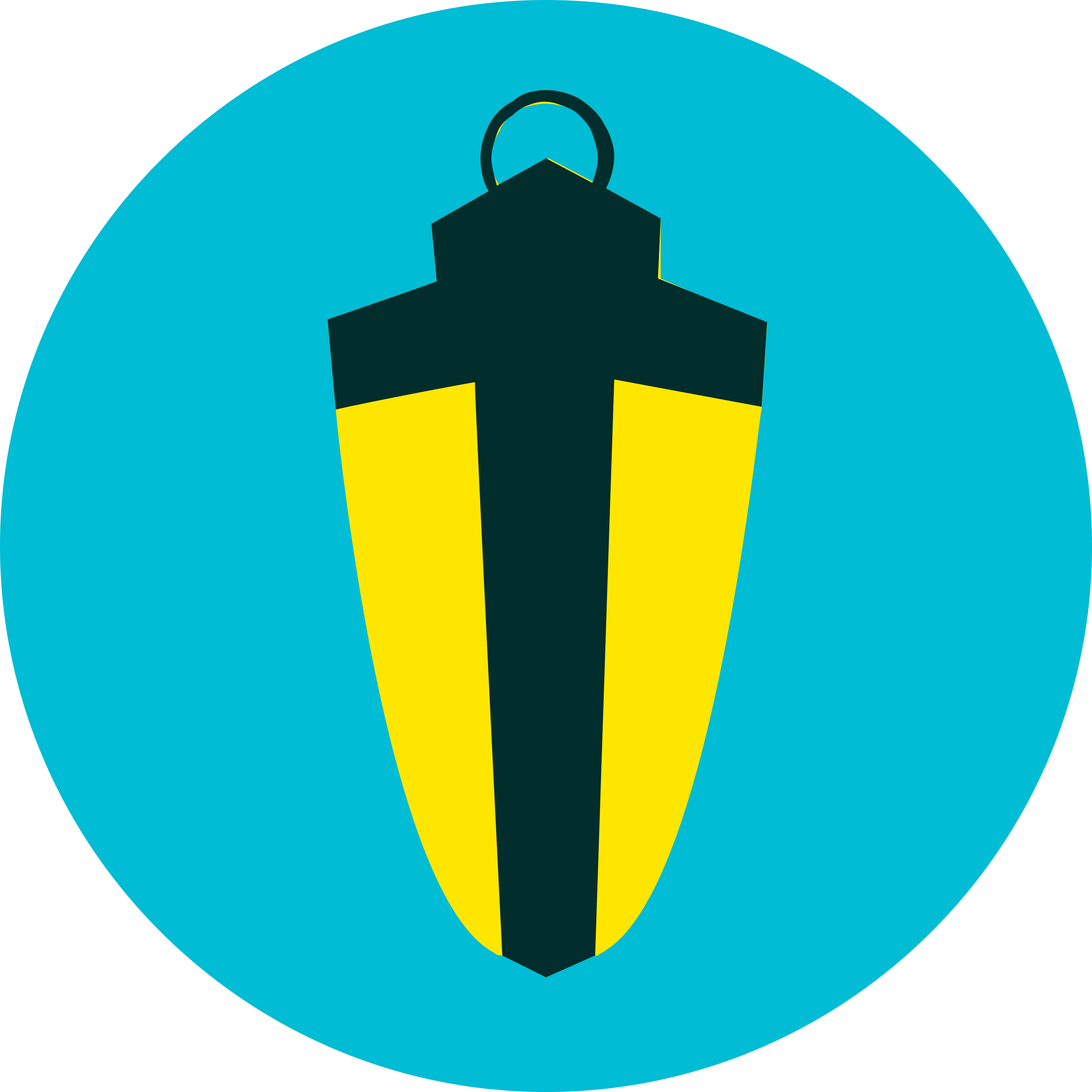 Lantern Logo  Transparent Image