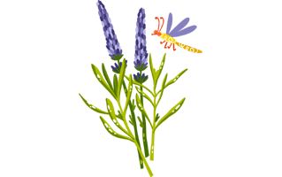 Lavender Sticker PNG