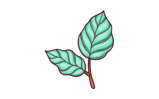 Leaf Free Sticker PNG