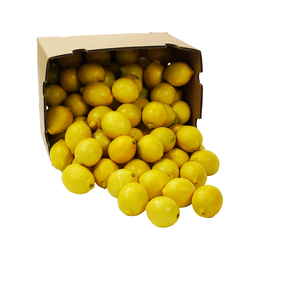 Lemons  Transparent Photo