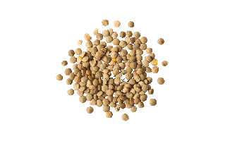 Lentils Beans PNG