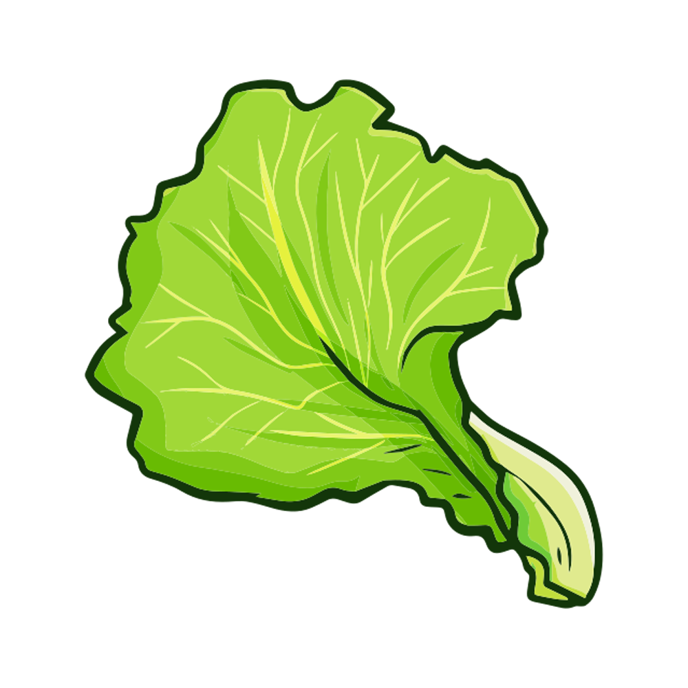 Lettuce Free Sticker Transparent Photo