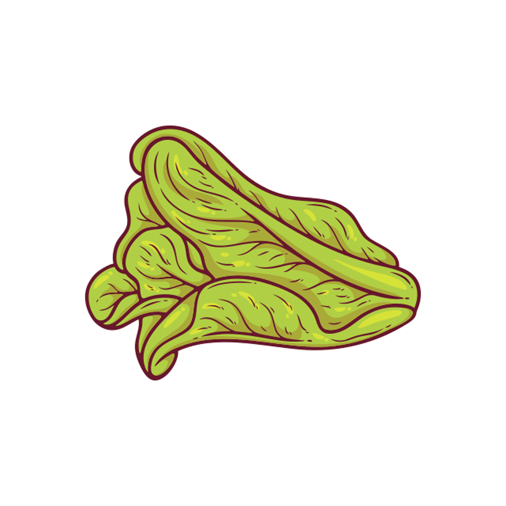 Lettuce Free Sticker Transparent Picture