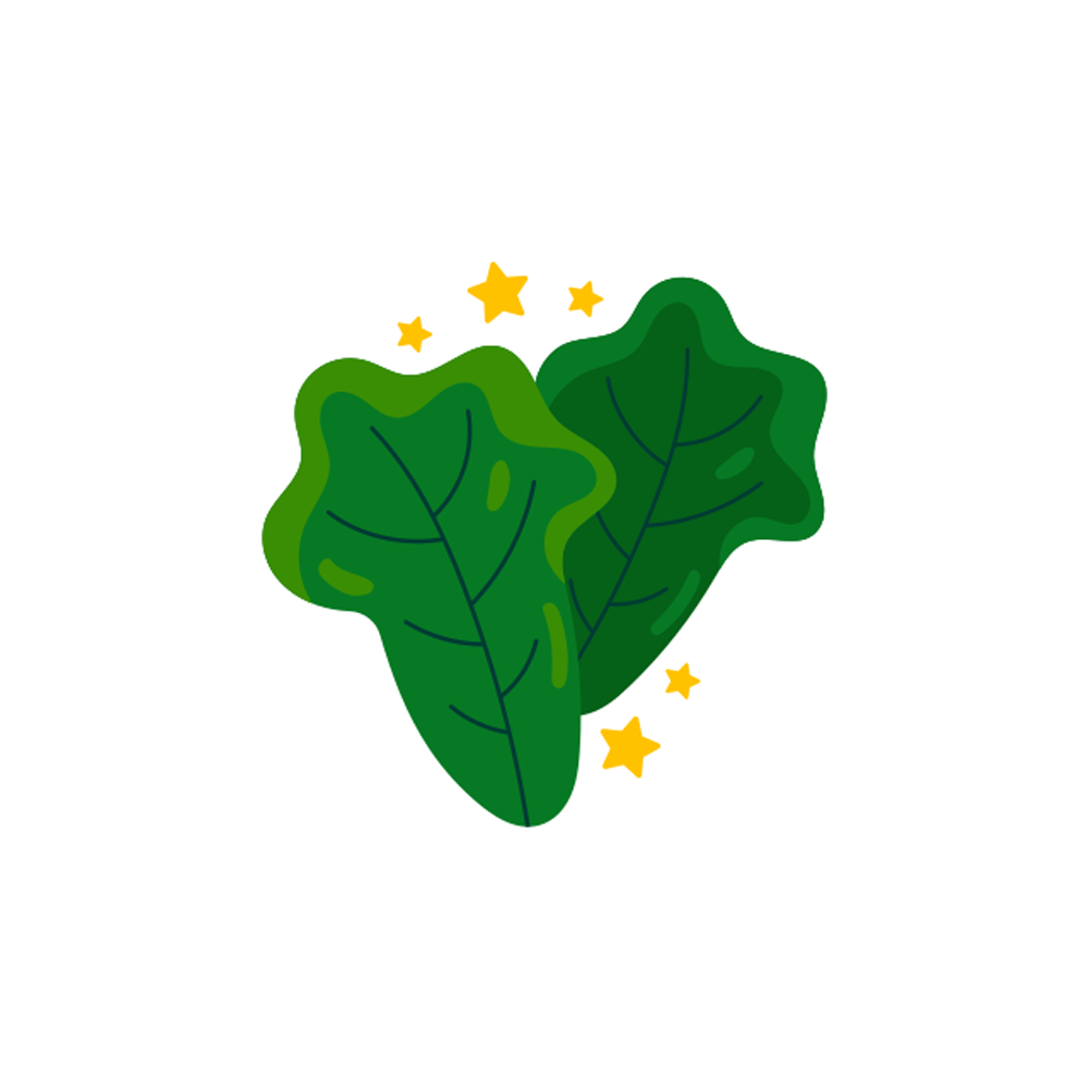 Lettuce Free Sticker Transparent Clipart