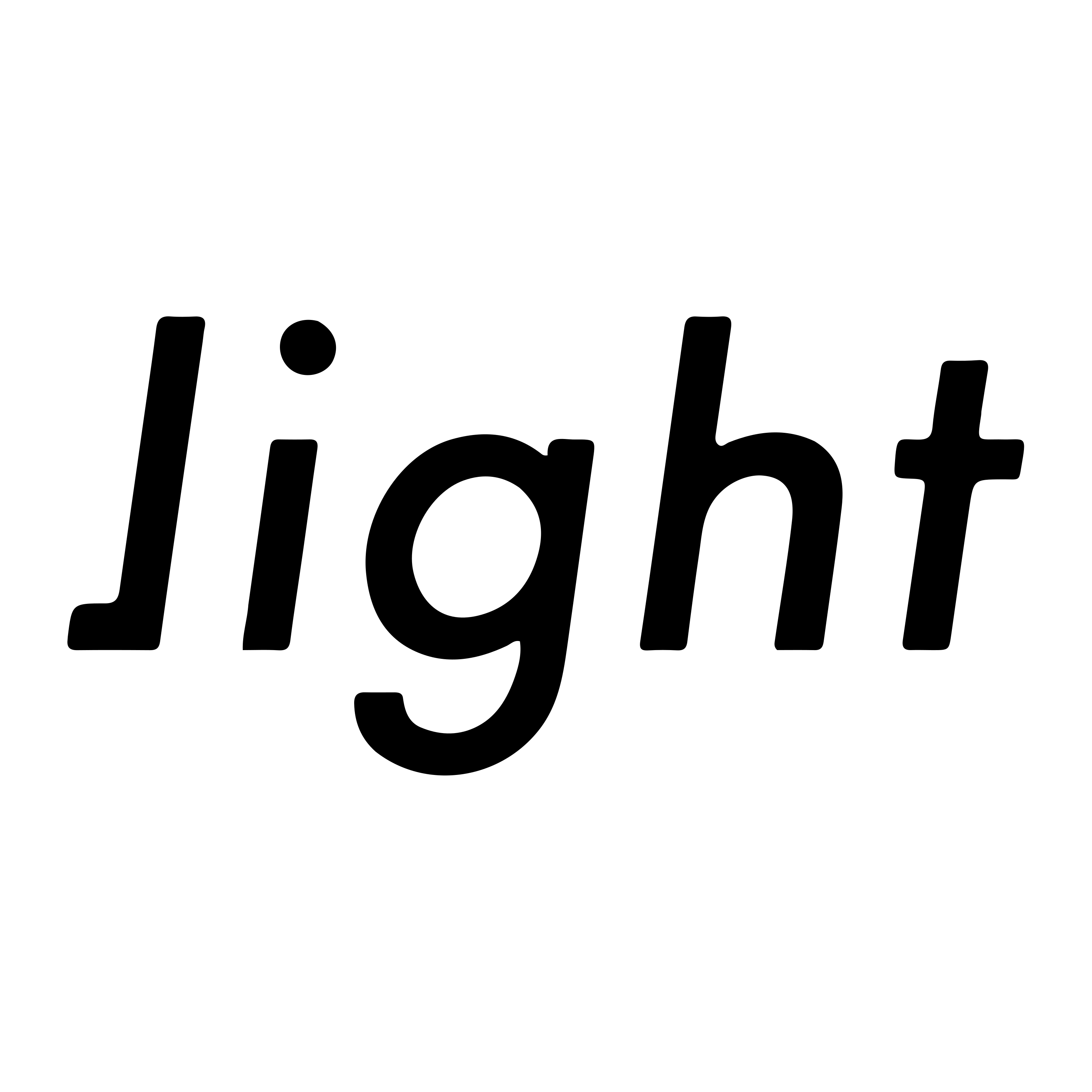 Light Logo  Transparent Image
