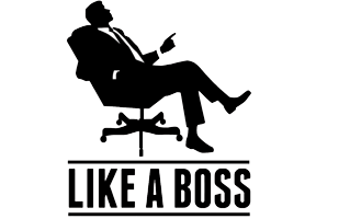 Like A Boss PNG