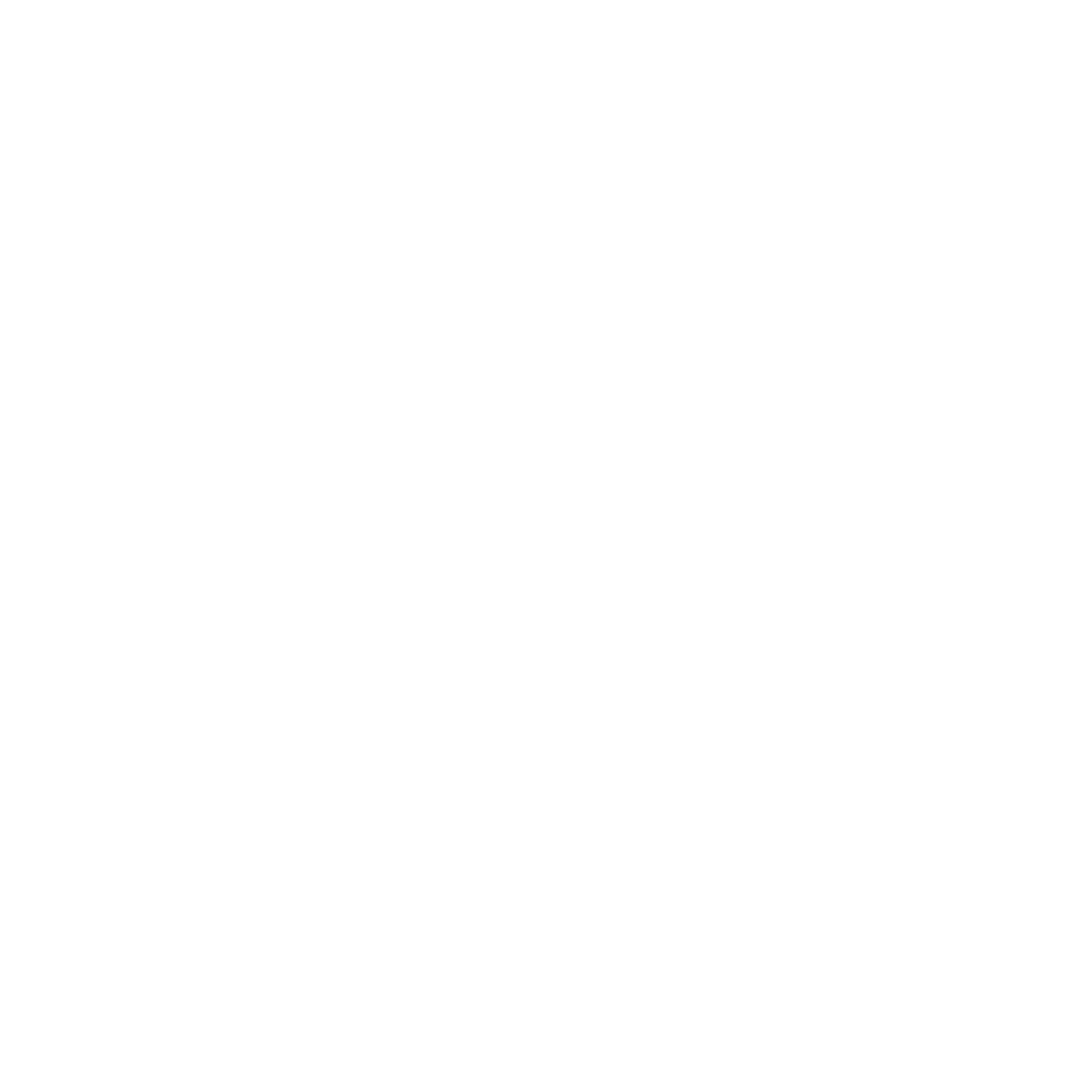 L1 Logo  Transparent Photo