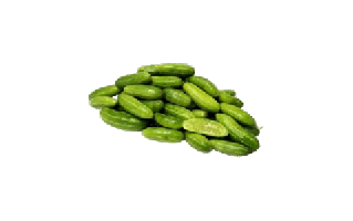 Little Gourd PNG