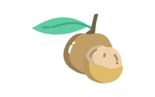 Longan Sticker PNG