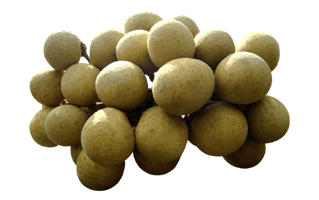 Longan PNG