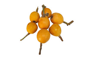 Loquat Fruit PNG