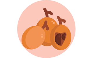 Loquat Sticker PNG