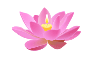 Lotus Candle