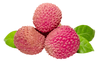 Lychee Fruit PNG