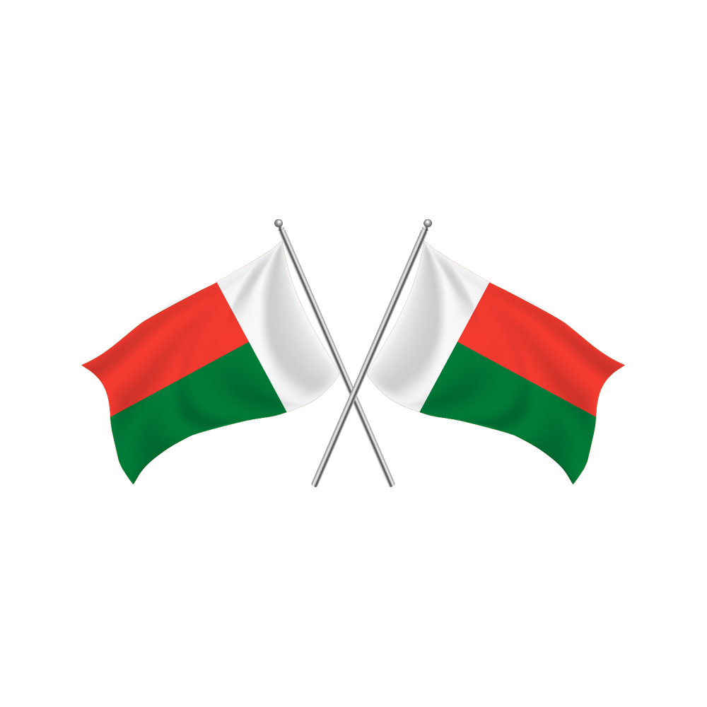 Madagascar Flag Transparent Picture