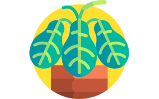 Maranta Sticker PNG