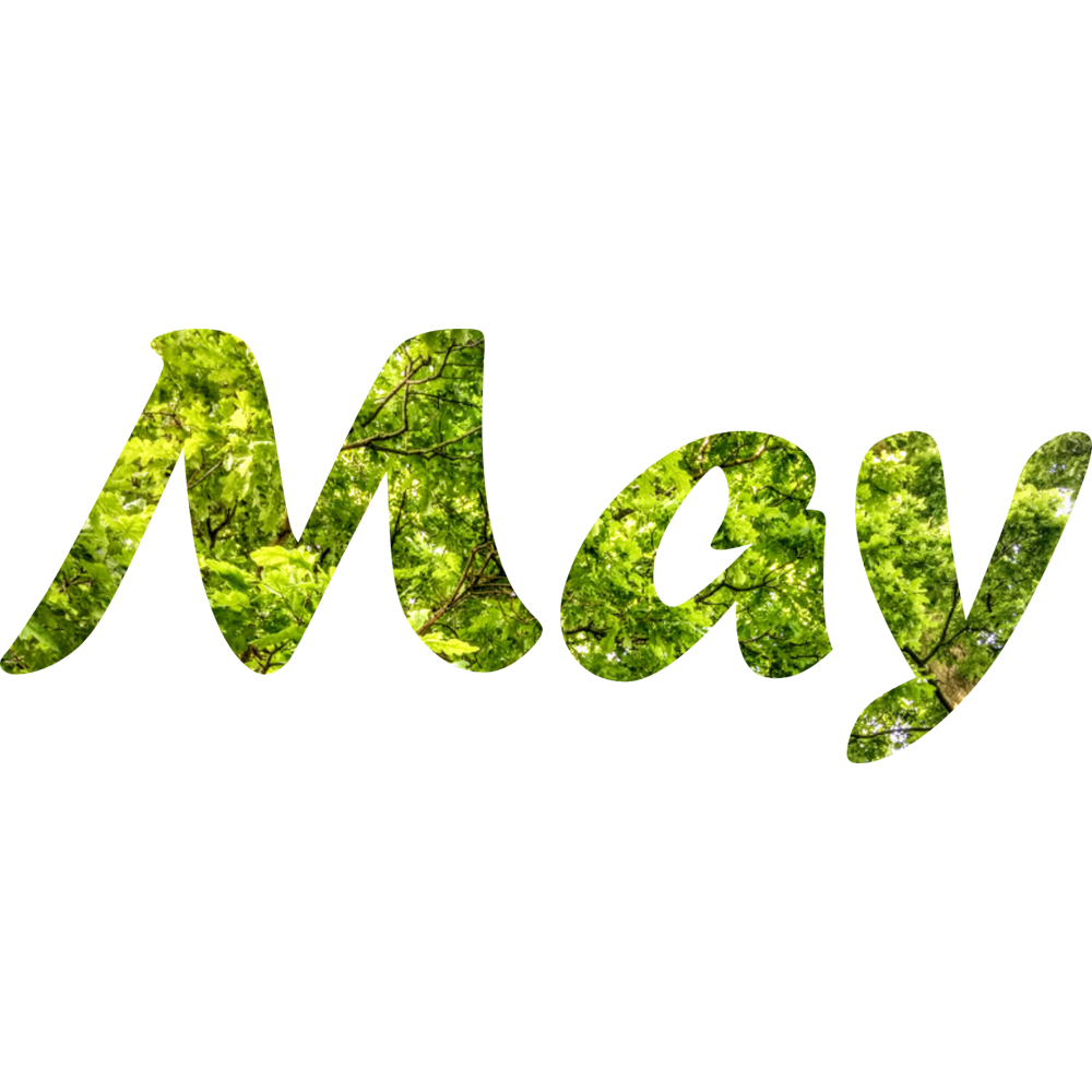 May  Transparent Clipart