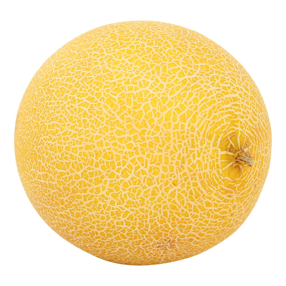 Melon  Transparent Clipart
