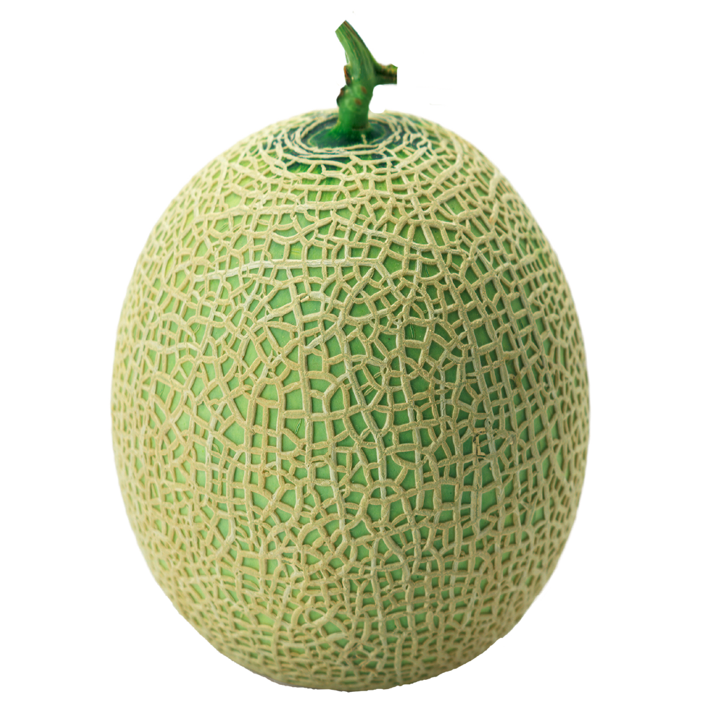 Melon  Transparent Gallery